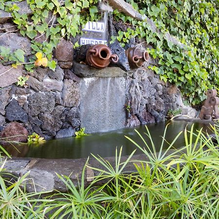 Casa Los Grabados, Piscina, Vistas, Barbacoa Y Zen Icod De Los Vinos Esterno foto